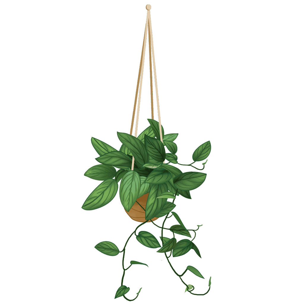 Hanging potted plant with lush green leaves for outdoor decor.