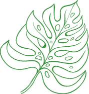 Green leaf illustration representing landscaping and outdoor space care.