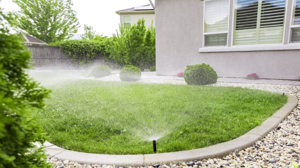 Well-maintained backyard lawn with sprinkler watering the grass.
